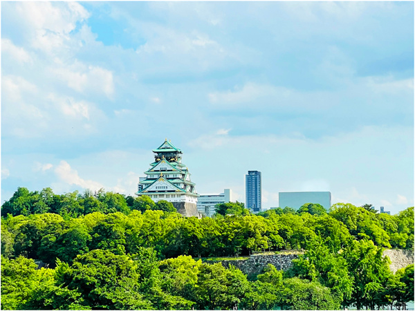 mg不朽情缘(中国)官方网站