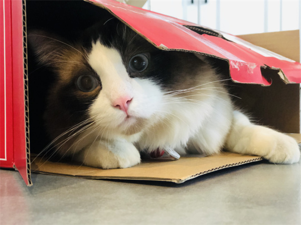 mg不朽情缘(中国)官方网站