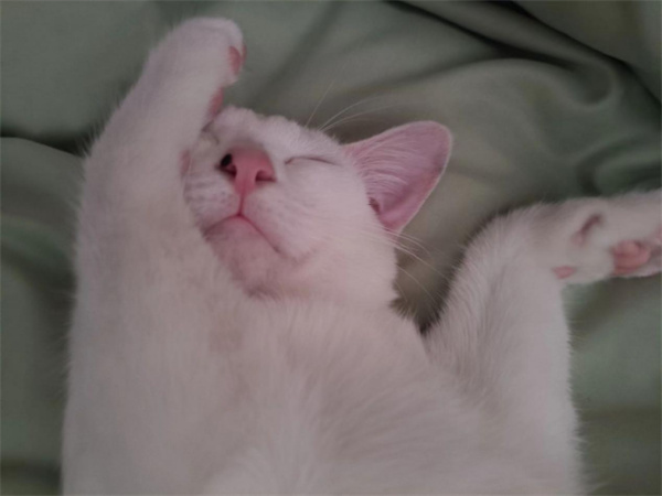 mg不朽情缘(中国)官方网站