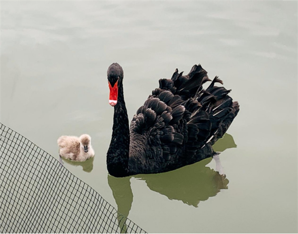 mg不朽情缘(中国)官方网站