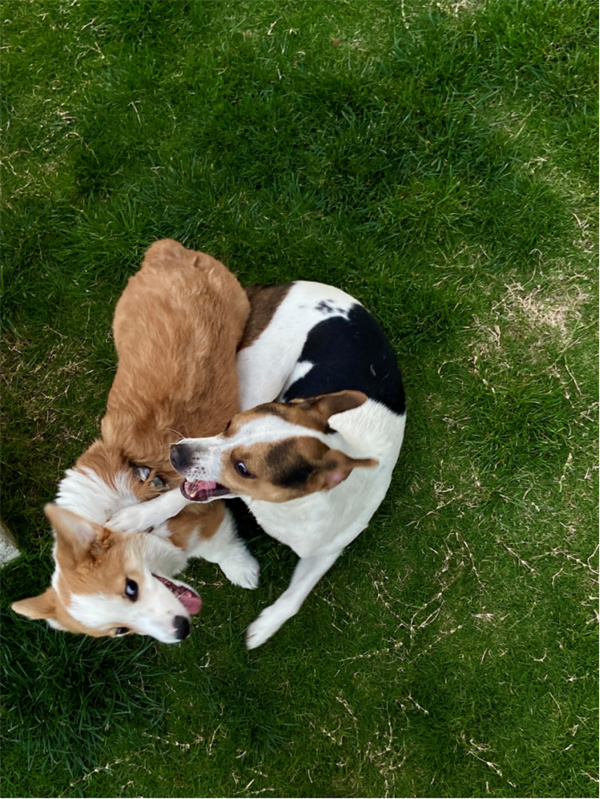 mg不朽情缘(中国)官方网站