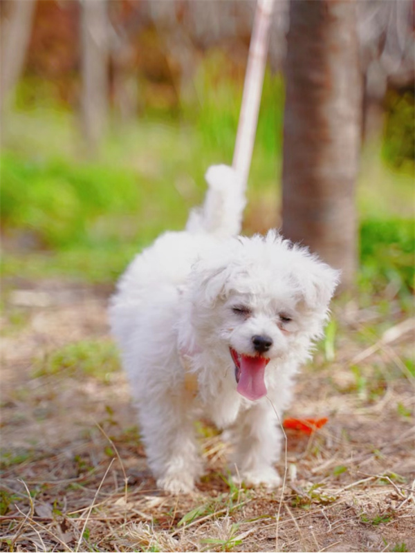 mg不朽情缘(中国)官方网站
