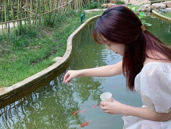 mg不朽情缘(中国)官方网站