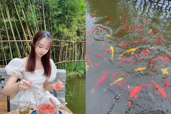 mg不朽情缘(中国)官方网站