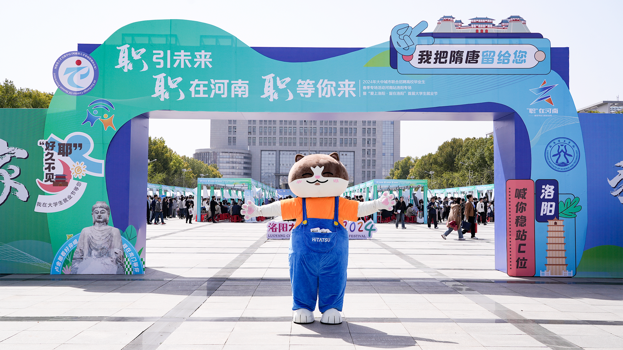 为什么洛阳的大学生都选择来这里？